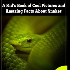 Snakes! A Kid’s Book Of Cool Images And Amazing Facts About Snakes: Nature Books for Children Series – Buy Now